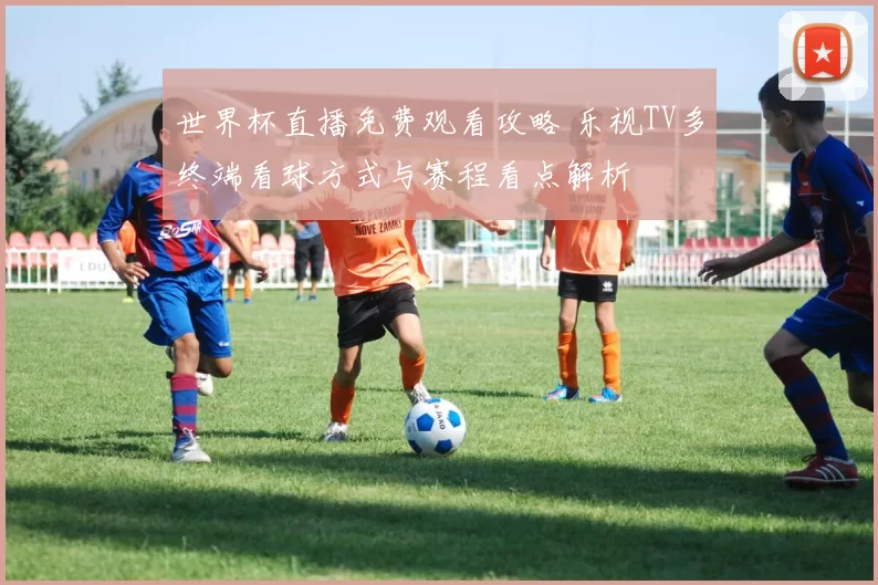 世界杯直播免费观看攻略 乐视TV多终端看球方式与赛程看点解析