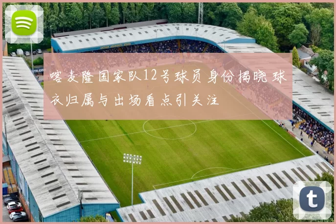 喀麦隆国家队12号球员身份揭晓 球衣归属与出场看点引关注